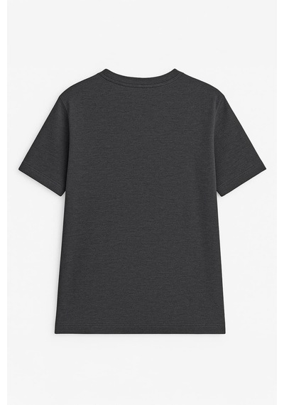 Erkek %100 Pamuk Bisiklet Yaka Baskılı T-shirt Çok Renkli