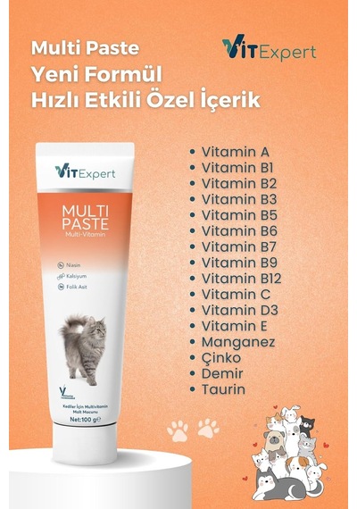Multi Paste Tüm Kediler Için Multi Vitamin Bağışıklık Ve Tüy Sağlığı Tamamlayıcı Malt Macun 100 Gr