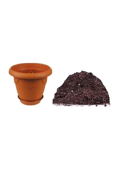 9 Farklı Renk Çilek Tohumu Ekim Seti 18 Tohum +Saksı+Toprak+ İ