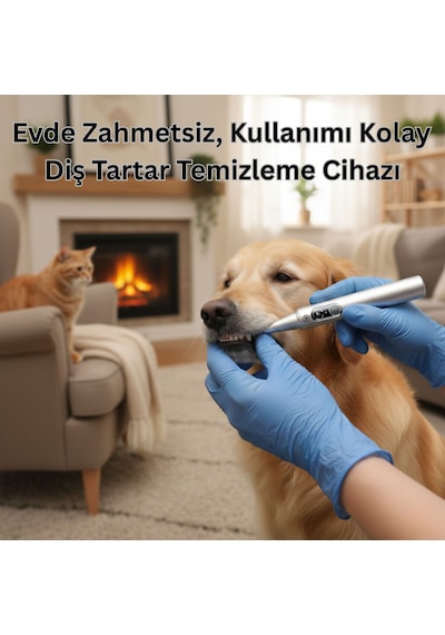 Npo M1 5mp Kameralı Uv'li 5 Modlu Ultrasonic Tartar Plak Pet Diş Temizleme Cihazı