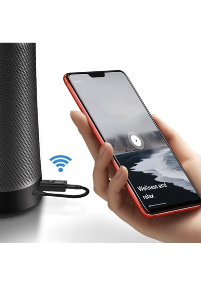 Kabloluyu Kablosuza Çevirin Bluetooth 2in1 Çevirici Dönüştürücü Adaptör Ve Fm Transmitter Aux Kiti