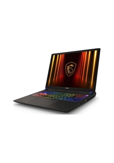 MSI Vector 16 HX AI A2XWIG-090XTRHMF2 Ultra 9 275HX 32 GB 1 TB SSD RTX5080 16" Free Dos Dizüstü Bilgisayar