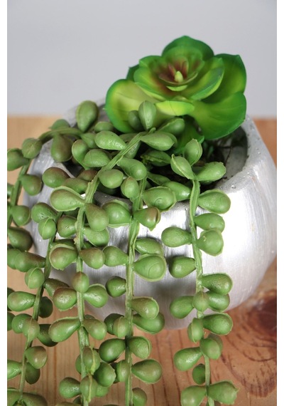 Yapay Çiçek Deposu Gümüş Mini Kabak Saksıda Succulentli Sarkan Tesbih Çiçeği 42 Cm