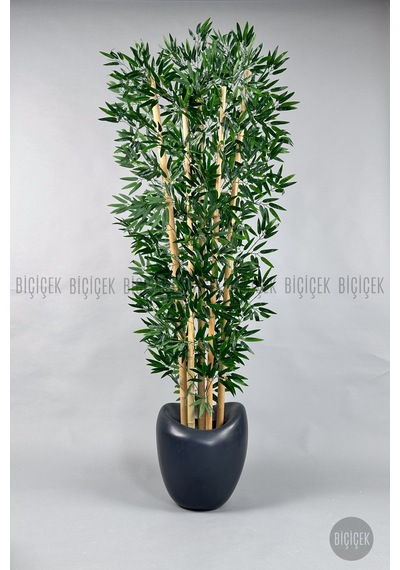Zen Bambu Ağacı 240 Cm Antresit Bone Saksıda