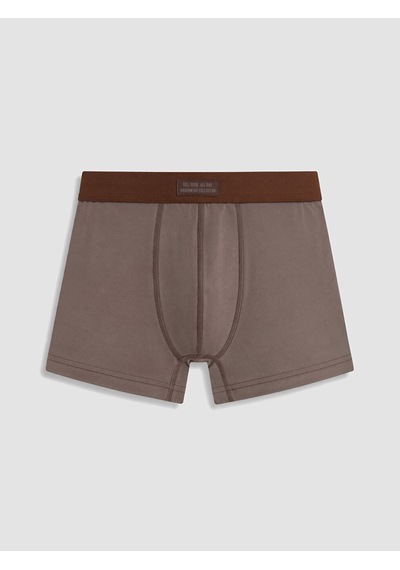 LC Waikiki Lc Waıkıkı Kahverengi Pamuklu Esnek Erkek Boxer 3'lü