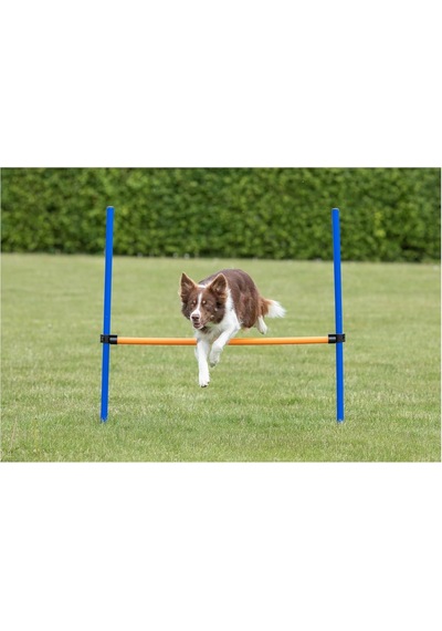 Trixie Köpek Agility Eğitim Manisi , 123 115 Ø3 Cm