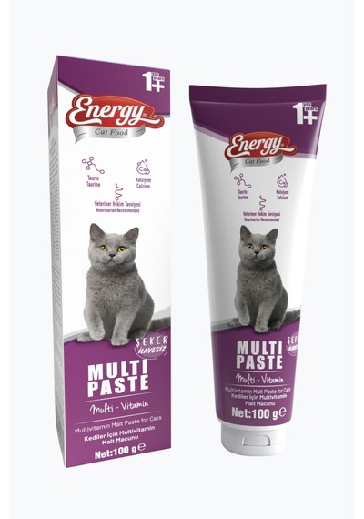 Energy Yetişkin Kedi Multi Paste - 100 G