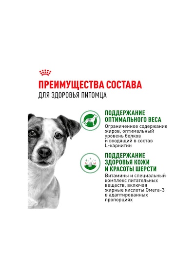 Royal Canin Mini Soğuk Mama, 85 Gr, 10'lu Paket Küçük Irklar İçin 250845775
