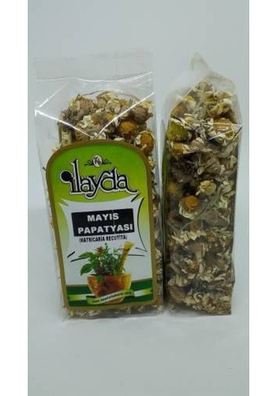 İlayda Mayıs Papatyası 40 G