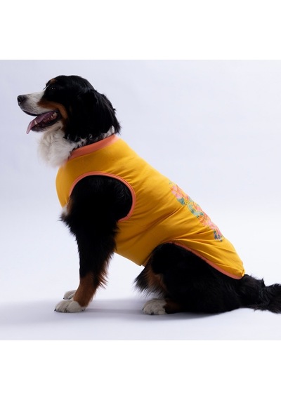 Sarı Crabby Beach Büyük Köpek Tişörtü - Köpek Kıyafeti 15 Kg-45 Kg