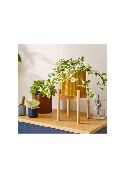 Ikea Daksjus Toprak Saksı, Sarı-kahverengi, 2'li Set Diğer