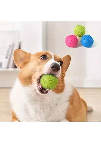 Zenviya21 Pati Desenli Köpek Isırma Topu Zenya785