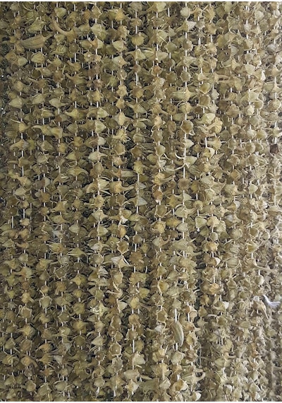 Organik Bitkim Çiçek Bamya Kurusu (Amasya Bamyası) 100 G