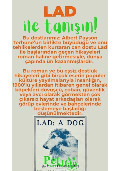 Petjoo 23.Lad Yeşil-Turuncu Qr'lı Köpek Künyesi