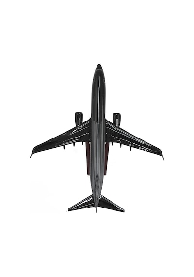 Zekupp Boeing 737-800 1/100 Siyah Çok Çizgili Tasarım Model Uçak