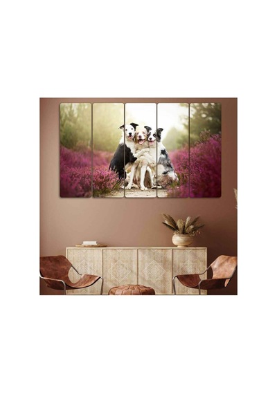 Köpekler, Border Collie Cinsleri - 5 Parçalı Tablo Görsel - 702503826 Görsel