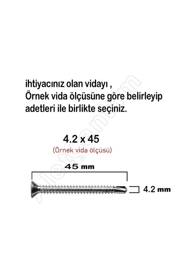Matkap Uçlu Vida Akıllı Vidası Apex Vida (Paket) 100 Adet-4.8 x 16