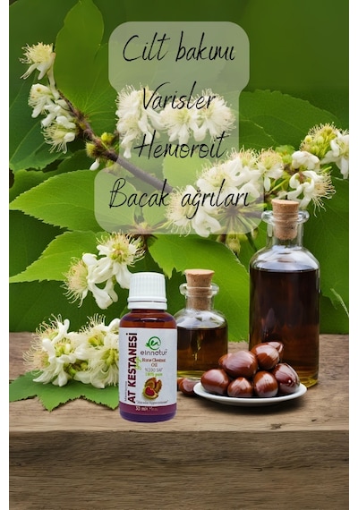 Einnatur At Kestanesi Yağı %100 Saf Zeytinyağında Maserasyon Aesculus Hippocastanum Atkestanesi 30 ML