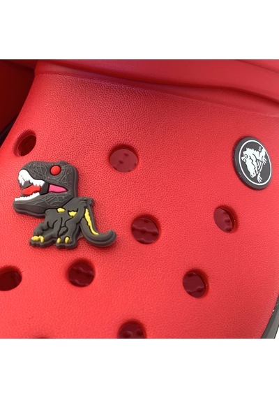 Crocs Terlik Süsü & Renkli Aksesuar Jibbitz (474782398)