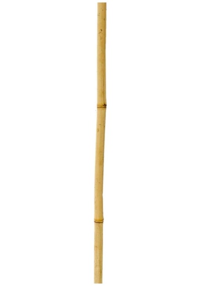 Bambu Sopası 180 Cm 16 -18Mm Bambu Çubuğu 5 Adet