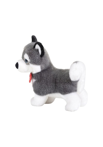 Trudi Husky Marcus M 22272 Çok Renkli