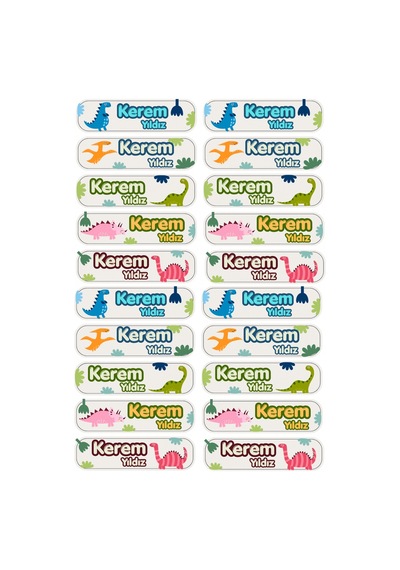 Kişiye Özel 20 Adet Dinozor Konseptli Kitap Etiketi - A4 Parlak Kuşe Sticker Diğer