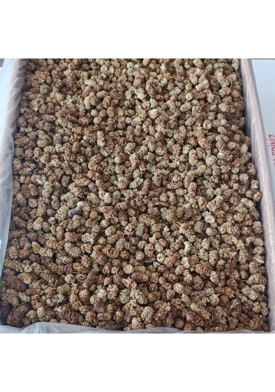 Toptan Yerli Orta Kalite Dut Kurusu 11 Kg Diğer