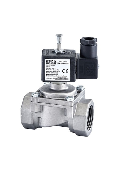 Eska 1 Doğalgaz Selenoid Vana 220 Volt Na