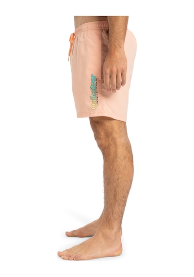 Quıksılver Quiksilver Spl Fineline 15 Erkek Volley Short Mef0 Çok Renkli