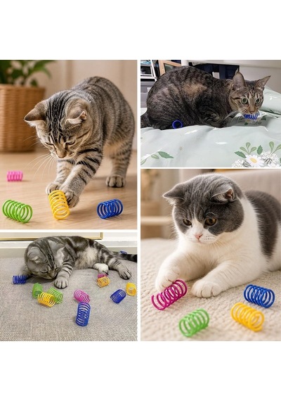 Bakgelal Renkli Spiral Yay Kedi Oyuncağı Seti 4'lü - Esnek Hareketli Eğlenceli Kedi Yay Oyun Seti - 9030911011810