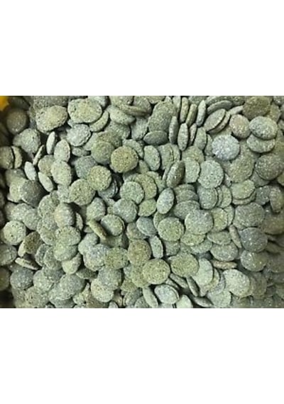 Jbl Novo Pleco Vatoz için Tablet Yem 500 G Kovadan Bölme