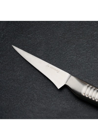Aryıldız Durinox Sıyırma Bıçak 14 Cm Çok Renkli