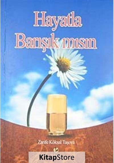 Hayatla Barışık mısın? - Zarife Köksal Taşova - İldem Yayınları