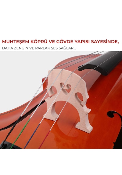 Maxword Mcl-250 Yüksek Kaliteli Masif Ağaç Çello Viyolonsel