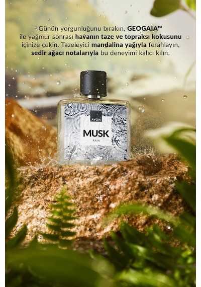 Musk Rain Erkek Parfüm Edt 75 Ml. Odunsu
