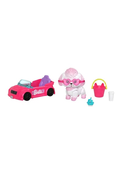 Barbie Dream Squad Renk Aksesuarlı Yavru Köp Jmw94 Seri 1