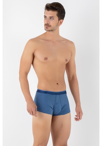 Doremi Dennis Cotton Erkek Boxer Mavi