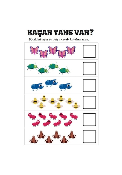Okul Öncesi Ve Birinci Sınıflar İlk Yaz-sil Matematik Kitabım
