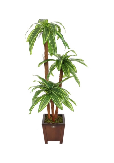 Yapay Çiçek Deposu Yapay Ağaç 3 Gövdeli Cordyline 140 Cm Yeşil-sarı Çizgili