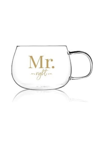 Mr.right Erkek Haklı Model Kulplu Borosilikat Cam Bardak Kupa 400ml Renkli