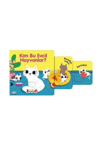 Eolo Kim Bu Evcil Hayvanlar