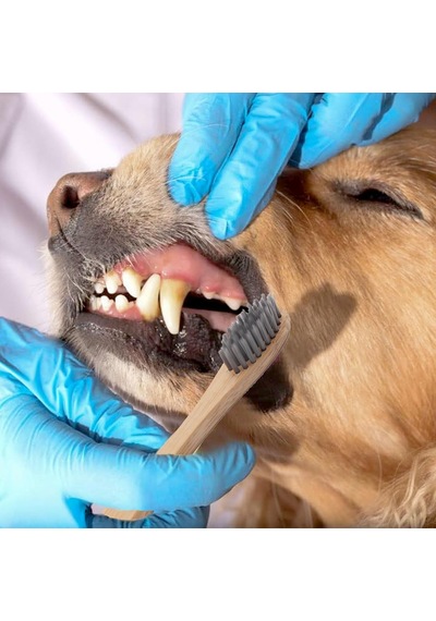 Köpekler Ve Kediler İçin Bambu Diş Fırçası Seti - Yumuşak Kıllar Ve Biyobozunur Ahşap Diş Fırçası, Köpek Malzemeleri, Köpek Fırça Seti, Evcil Hayvan Malzemeleri Köpek Bakım Seti Çevre Dostu 3'lü Paket
