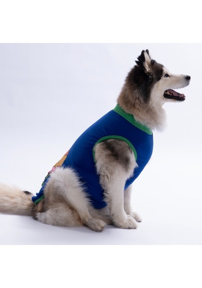 Mavi Happy Go Büyük Köpek Tişörtü - Köpek Kıyafeti 15 Kg-45 Kg