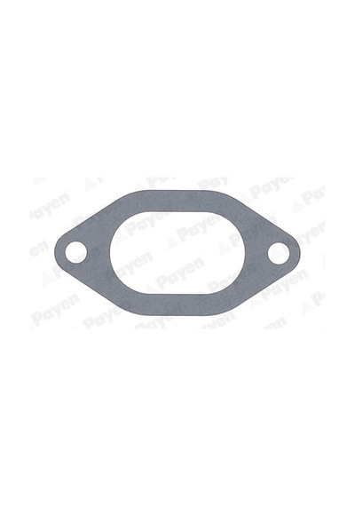 Payen Jc054 - Emme Manifold Conta Ducato-master 2.8 Td-ıveco Daı