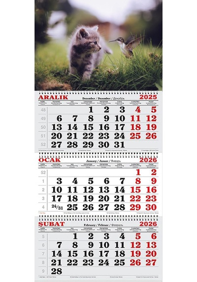 2026 Yılı Gemici Takvimi-kedi Ve Kuş