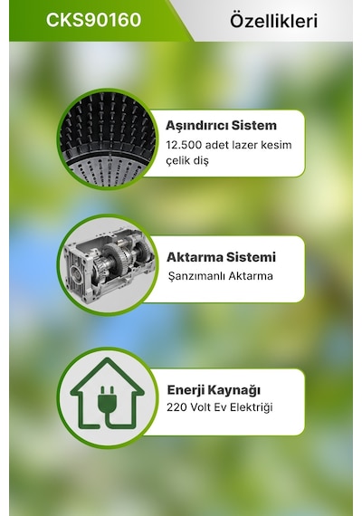 Kadıoğlu CKS90160 Standart Devirli Ceviz Soyma Makinesi 170 LT