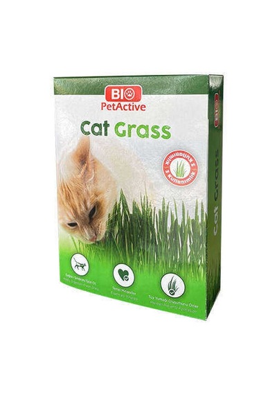 Biopetactive Kedi Çimi