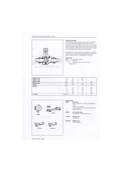 D05Fs-2 Honeywell Su Basınç Düşürücü (2'' / Maks. 25 Bar)
