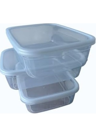 Kapaklı Saklama Kabı 3'lü Set, 3000 Ml Her Biri, Şeffaf, Bpa İçermez, Hava Geçirmez, İstiflenebilir