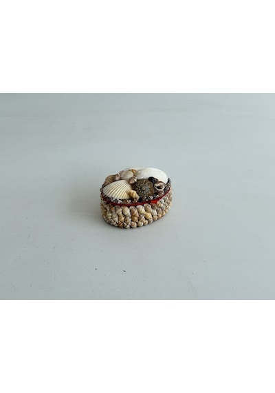 Deniz Kabuğu Kaplamalı Kutu 8x6x4cm - Mücevher Takı Kutusu